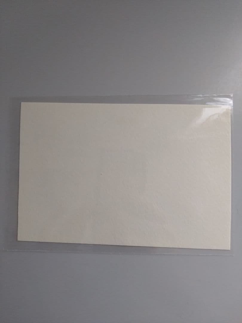 【レア・原画②】山口一郎 赤い花 ポストカード