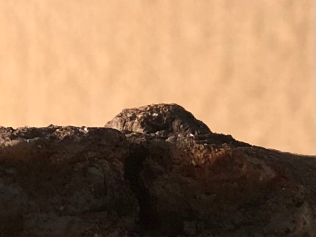 「板状土偶の破片」です。