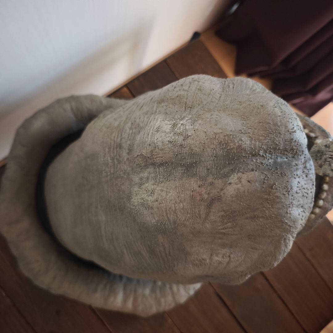 スターウォーズエピソード5帝国の逆襲　エクソゴース　スペーススラッグ　ファルコン