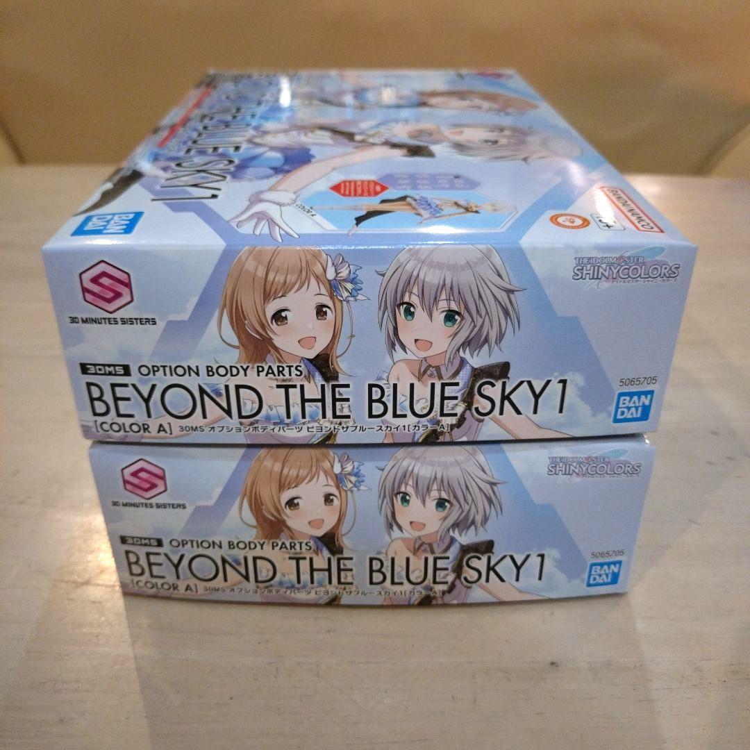 30MS 園田智代子/社野凜世く ビヨンドザブルースカイ オールインワンセット