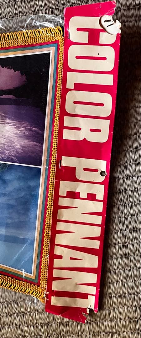 観光地ペナント ２９枚