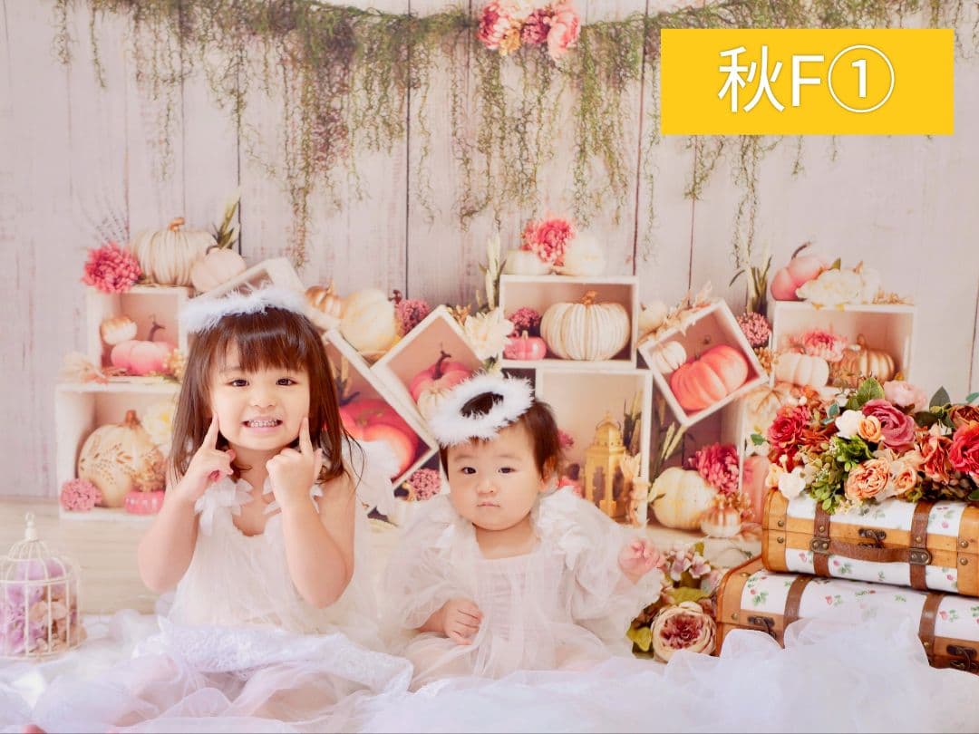 背景布　ハロウィンK①　パーティー、ペット、キッズ、ドール撮影用