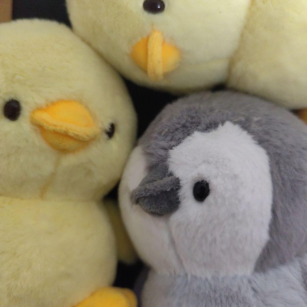 ひよことペンギンのぬいぐるみセット