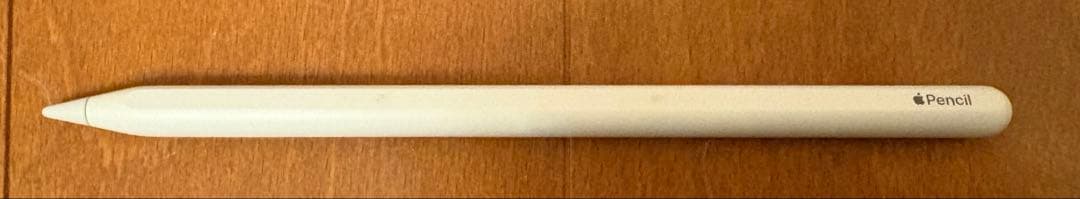 iPad Pro 11インチ 第3世代 256GB Cellular おまけ多数