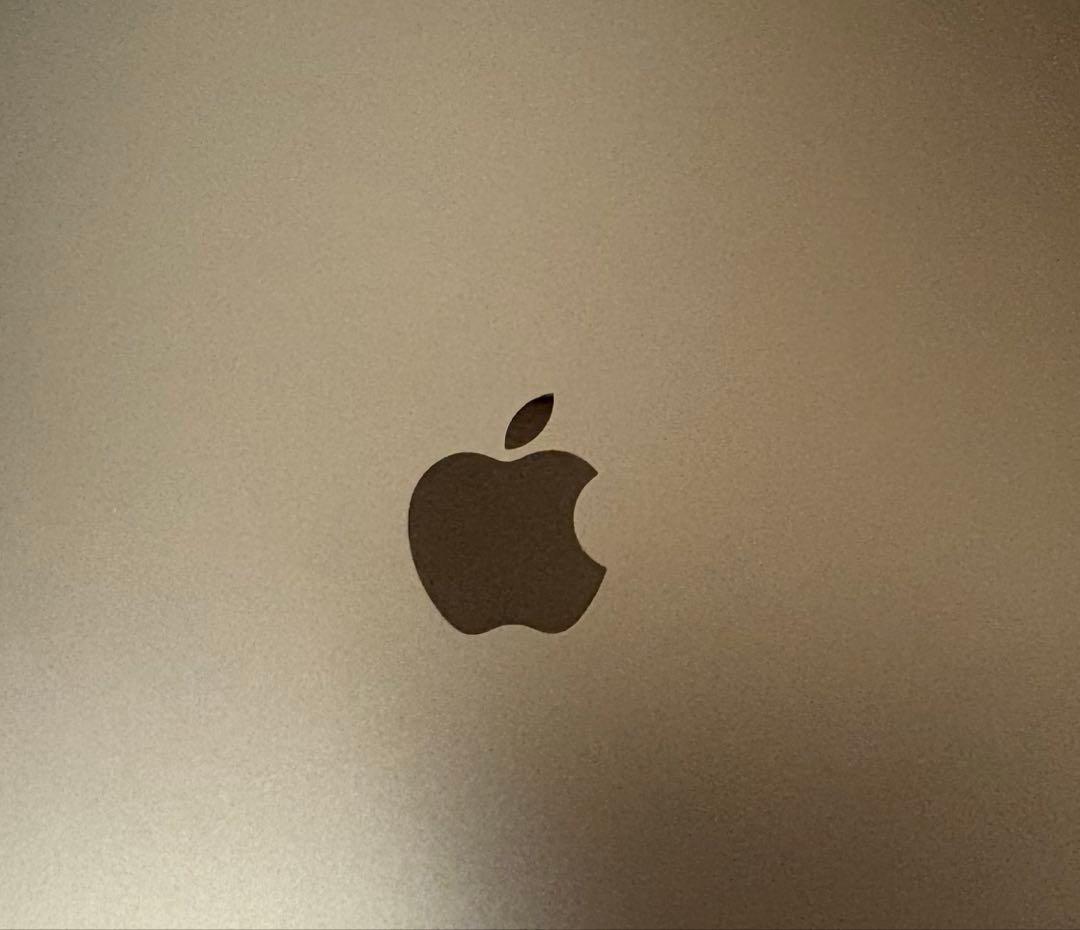 iPad Pro 11インチ 第3世代 256GB Cellular おまけ多数