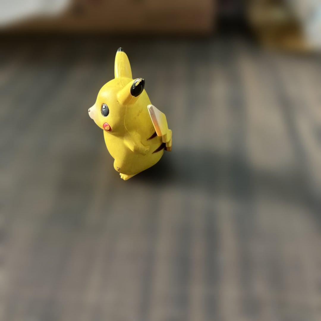 【新春最終1月19日倉庫一掃セール22時ピカチュウとリザードンのフィギュアセット