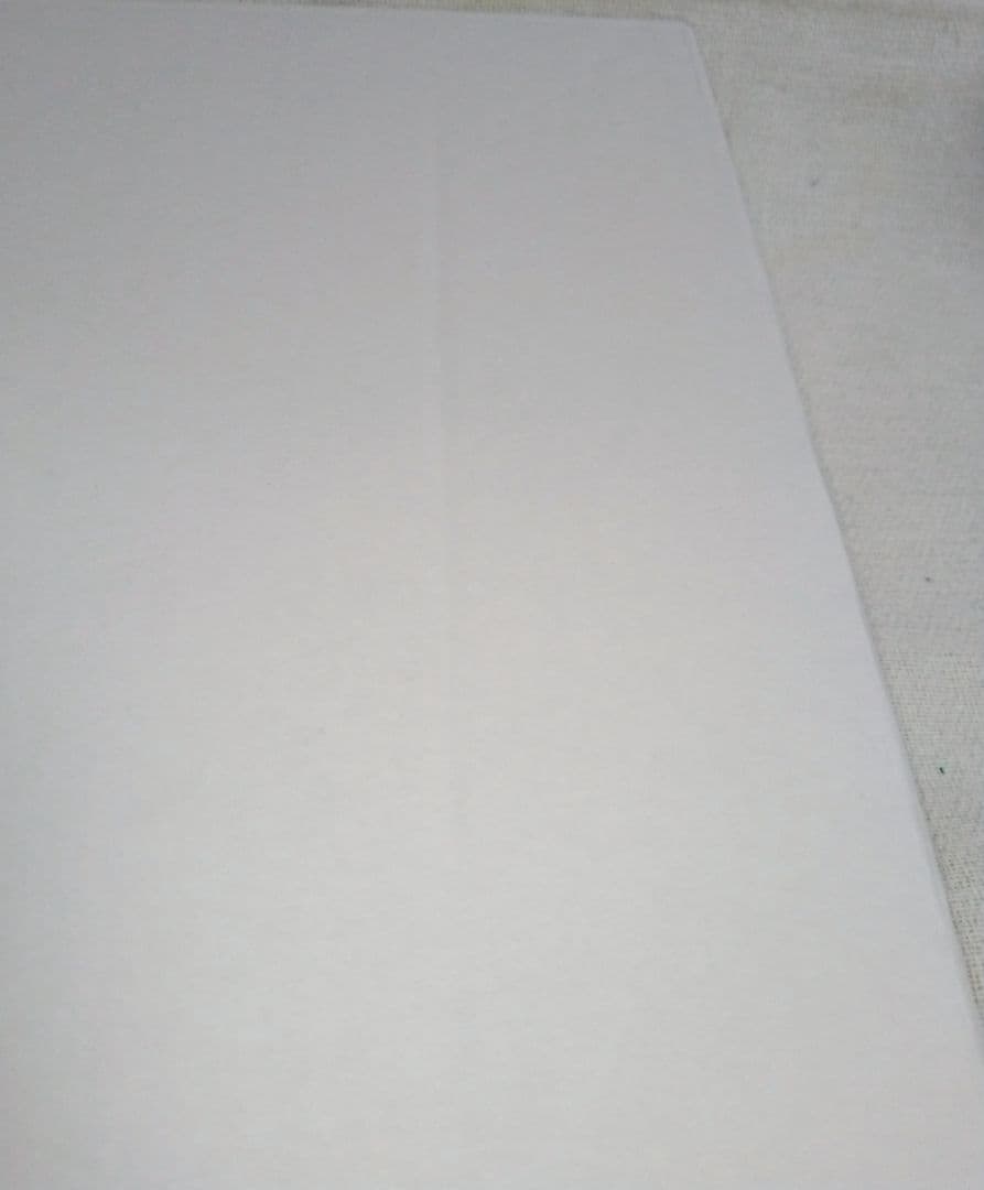 コウペンちゃん 複製原画 『夢の底へ』 原画展限定