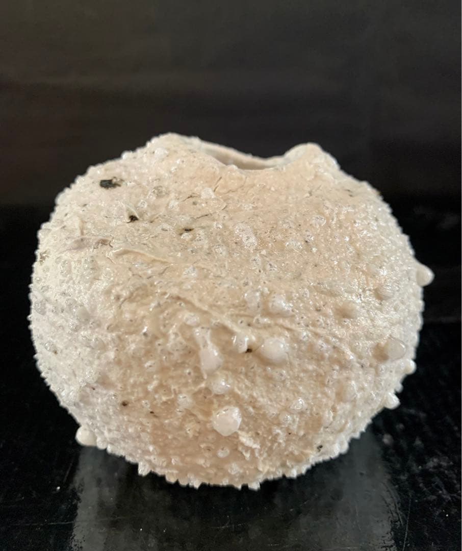 辻村史朗　白信楽小壺　B