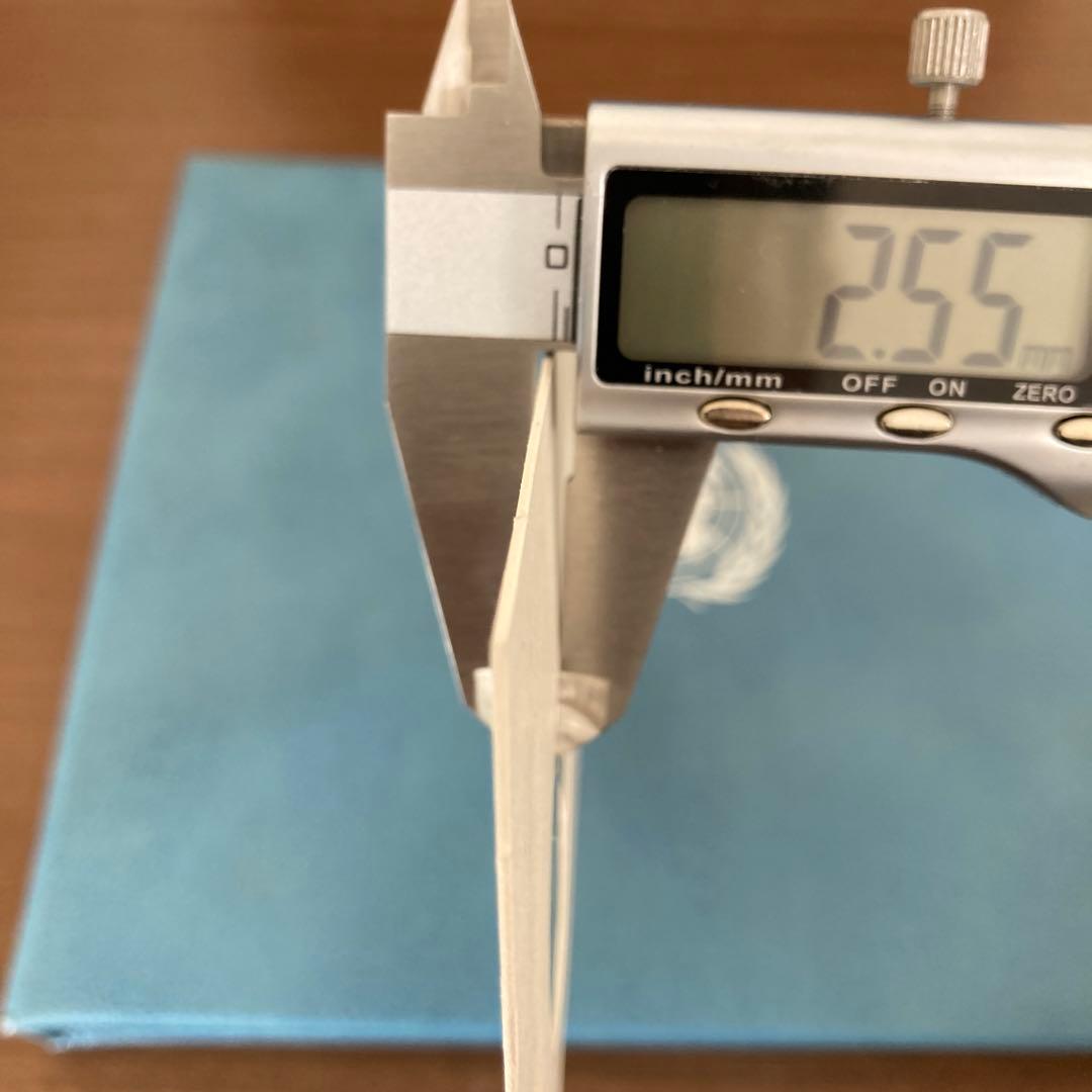 United Nations 国連　記念メダル　銀　slv925 1975