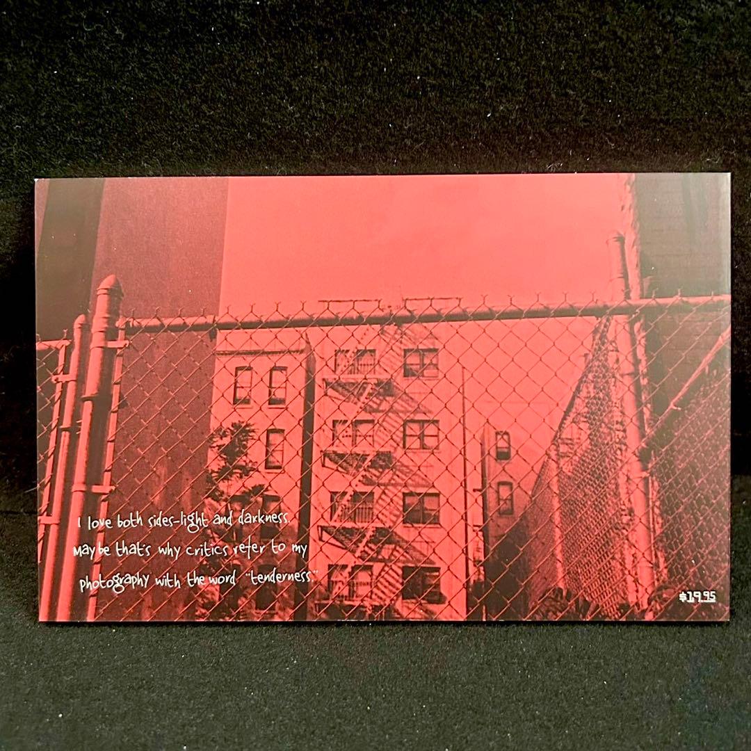 BANANA FISH 復刻版BOX 全巻セットvol.1〜vol.4 全20巻