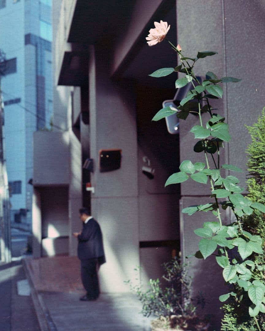 【極美品】FUJIFILM GA645 Pro 試撮り済み