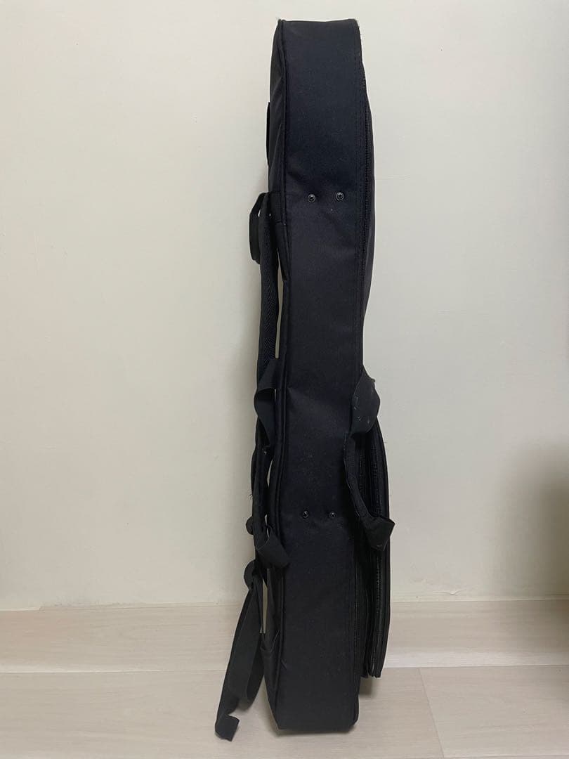 【本蛇革】三線&入門本2冊