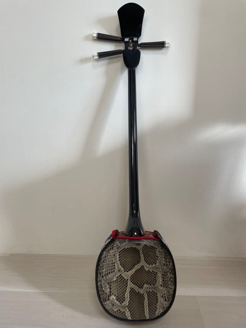 【本蛇革】三線&入門本2冊