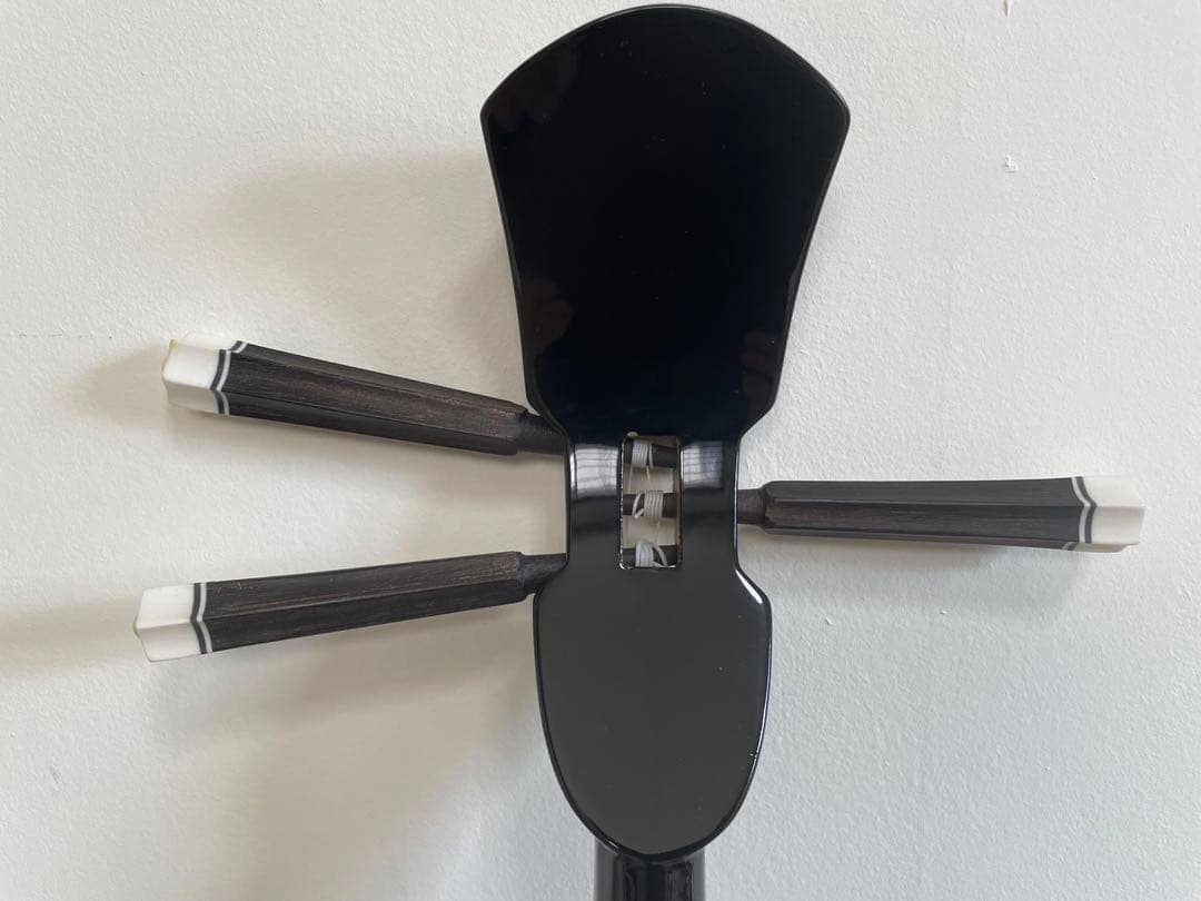 【本蛇革】三線&入門本2冊