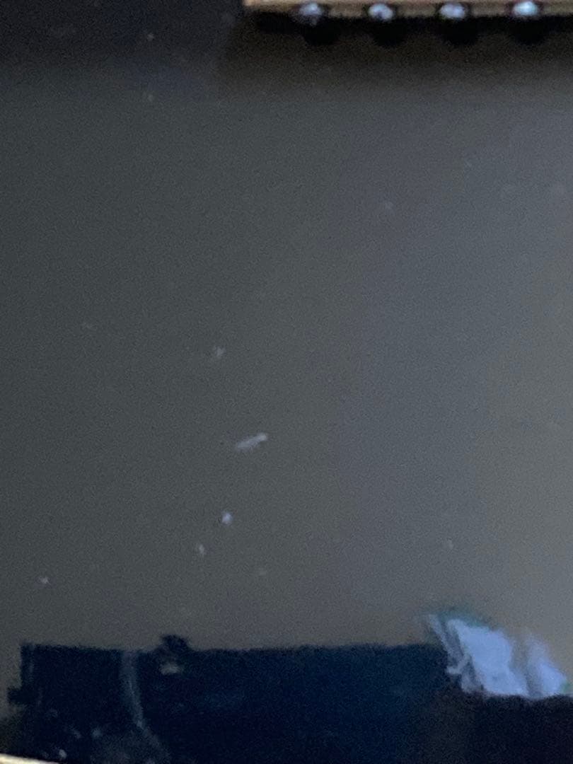 ギター Fernandes TEJ-55G