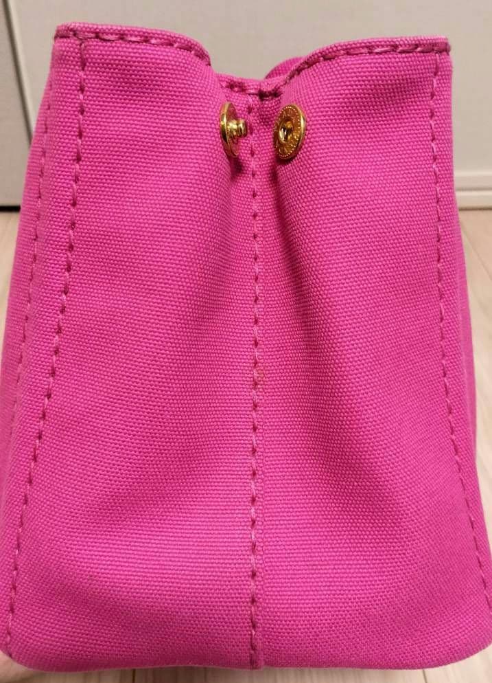 (♡ちゃん♡専用)PRADA カナパ　ピンク ショルダーバッグ 保存袋付き