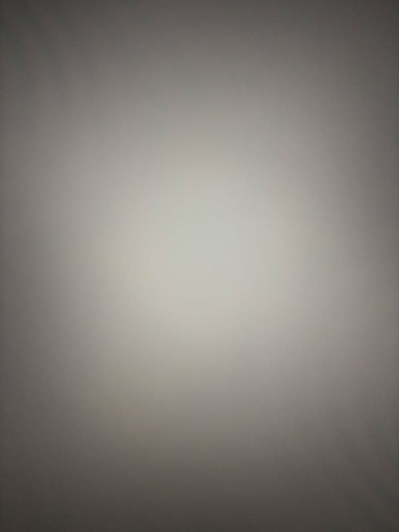 Apple iPadPro 第2世代　11インチ