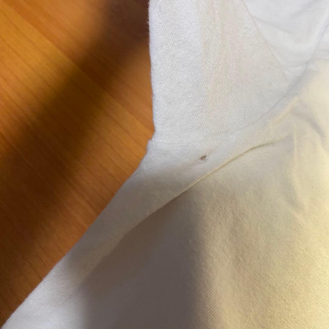 激レア 人気デザイン 90s らんま1/2 tシャツ ヴィンテージ Hanes