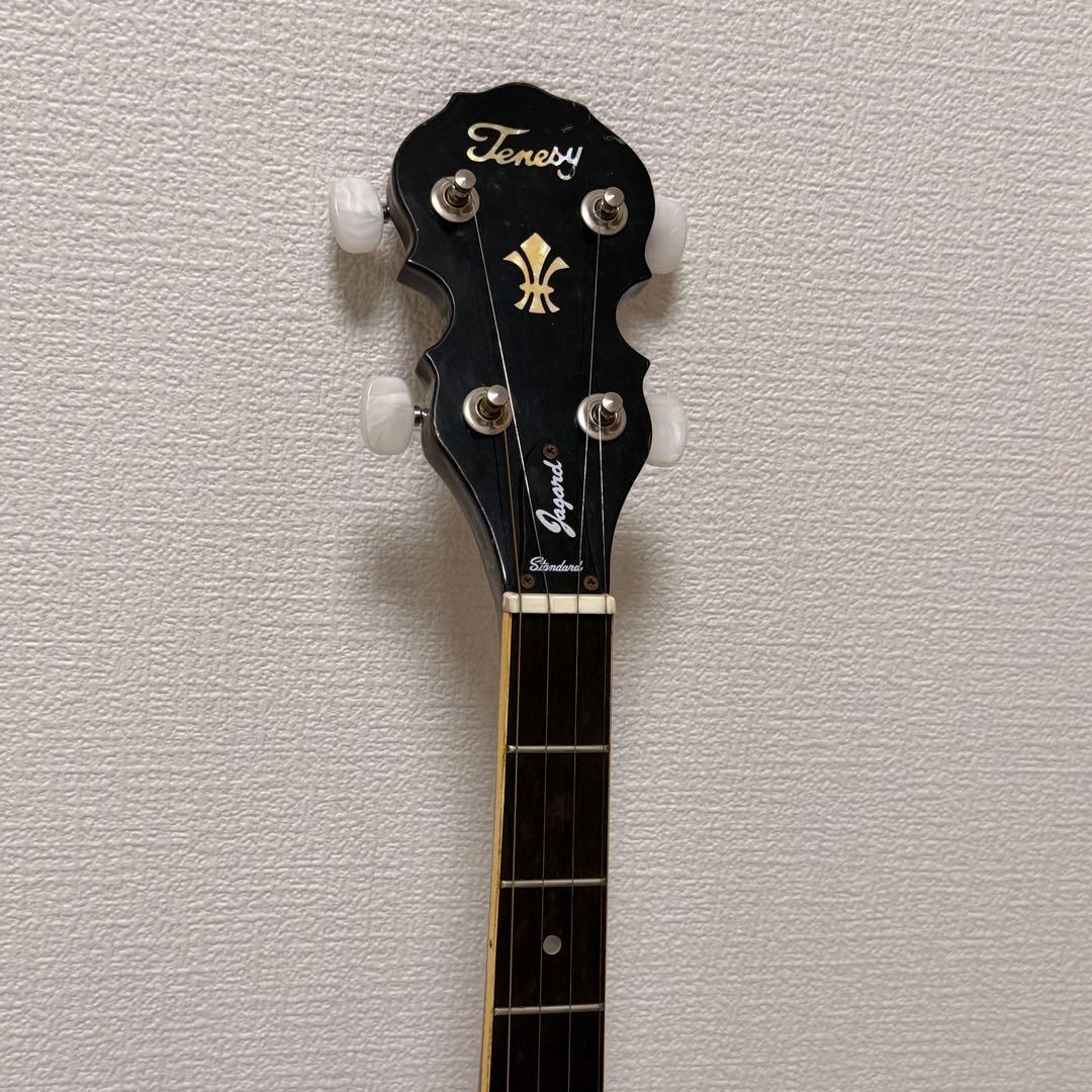 【良品✨】TENESY バンジョー　５弦　BANJO