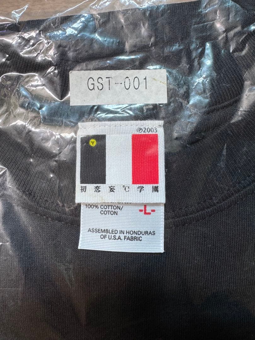 【新品未使用】GOING STEADY Tシャツ