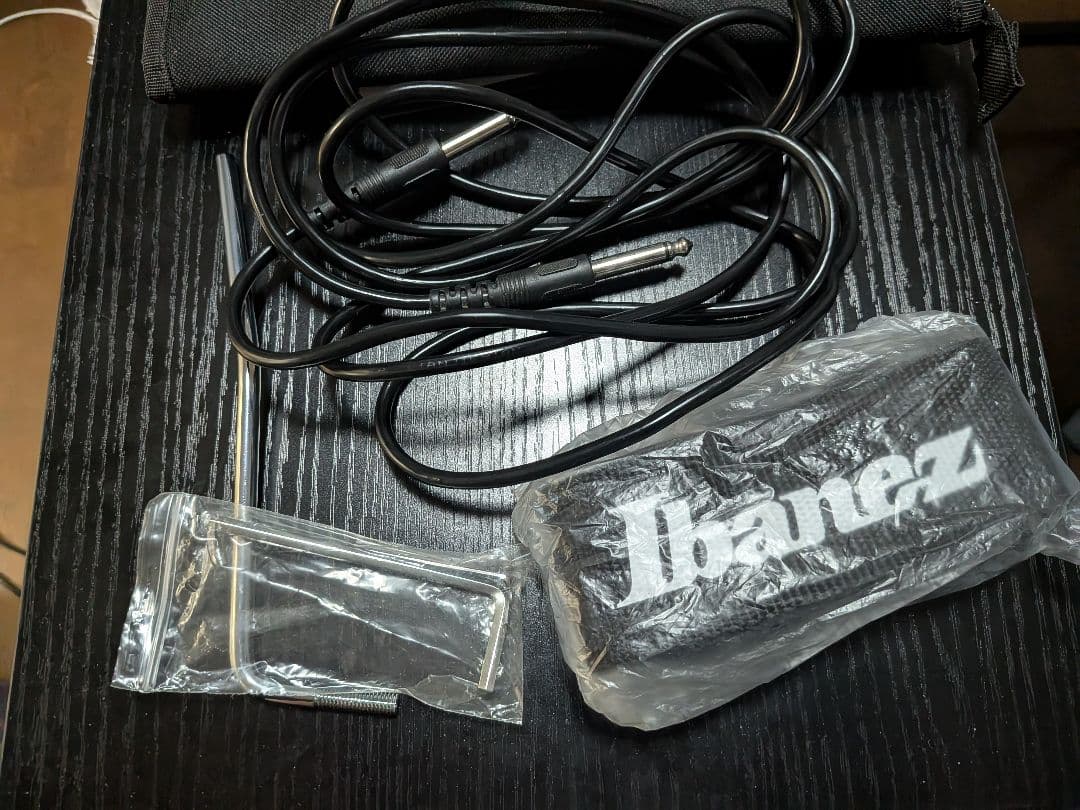 花*音様 Ibanez G10 エレキギター