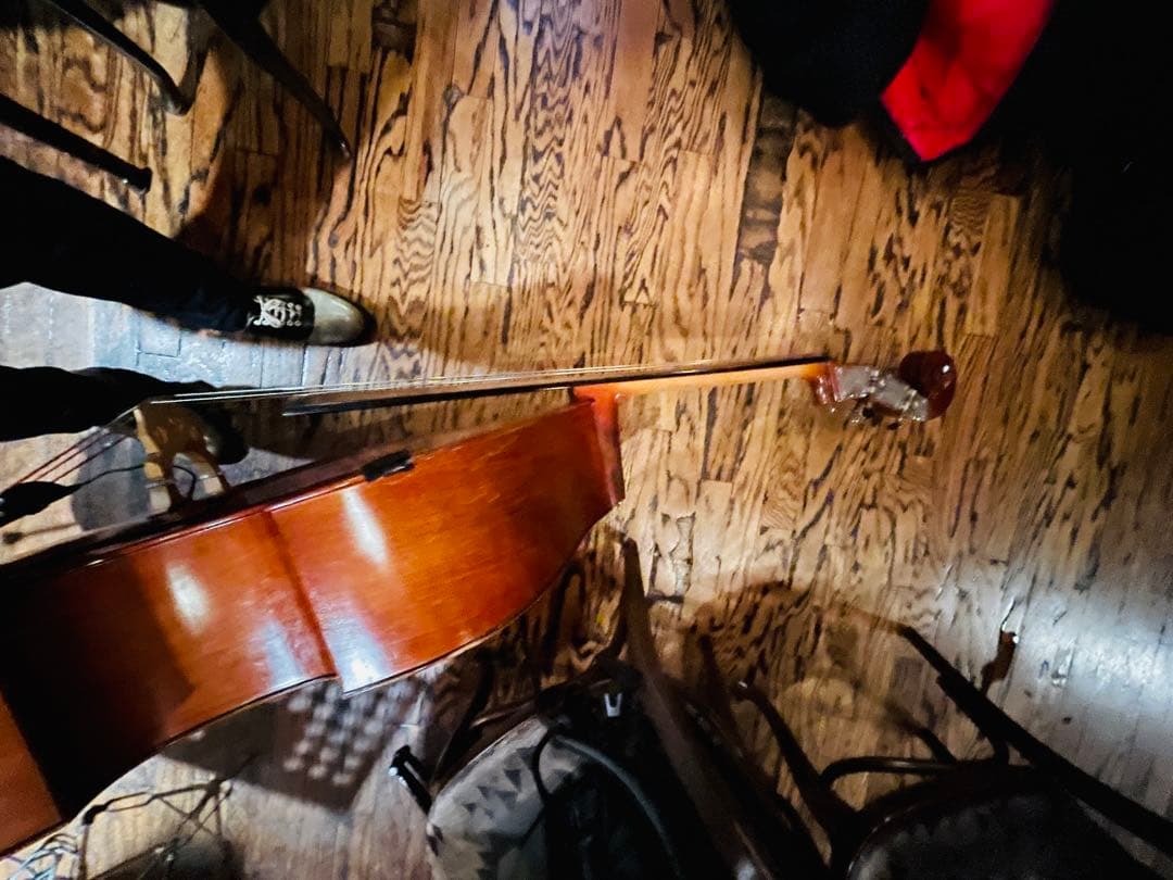 Oriente HO-20スピロコア弦 リアリストピックアップソフトケース付