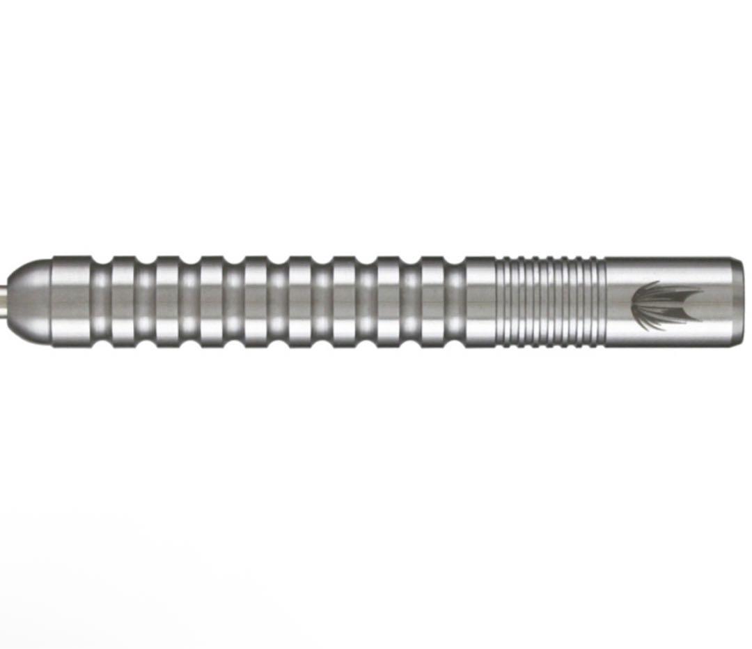 激レア ターゲット エイドリアン・ルイス ジェネレーション2 スティール 23g