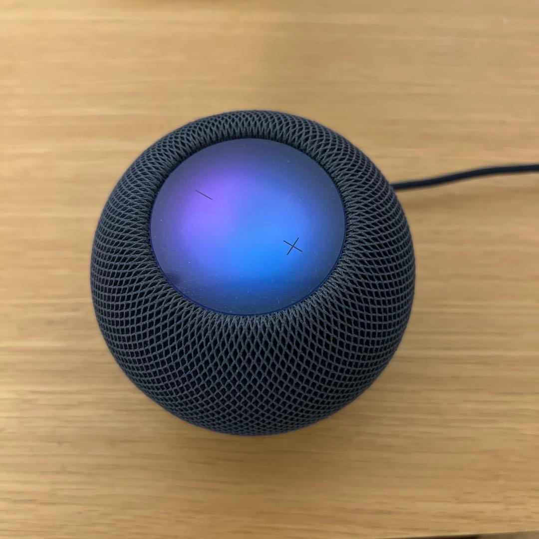 Apple Pod mini スペースグレイ 美品