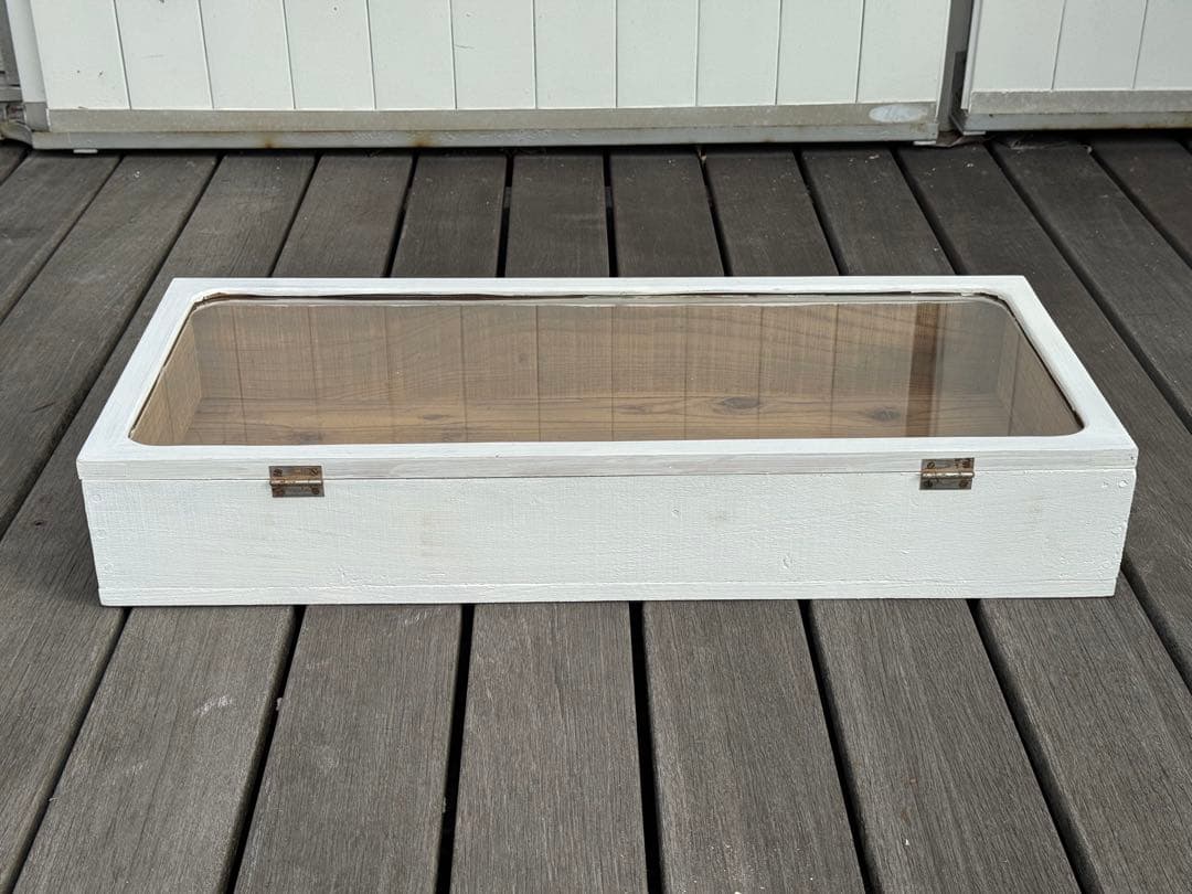 古道具 ホワイト木製ショーケース ガラス蓋付き ヴィンテージ