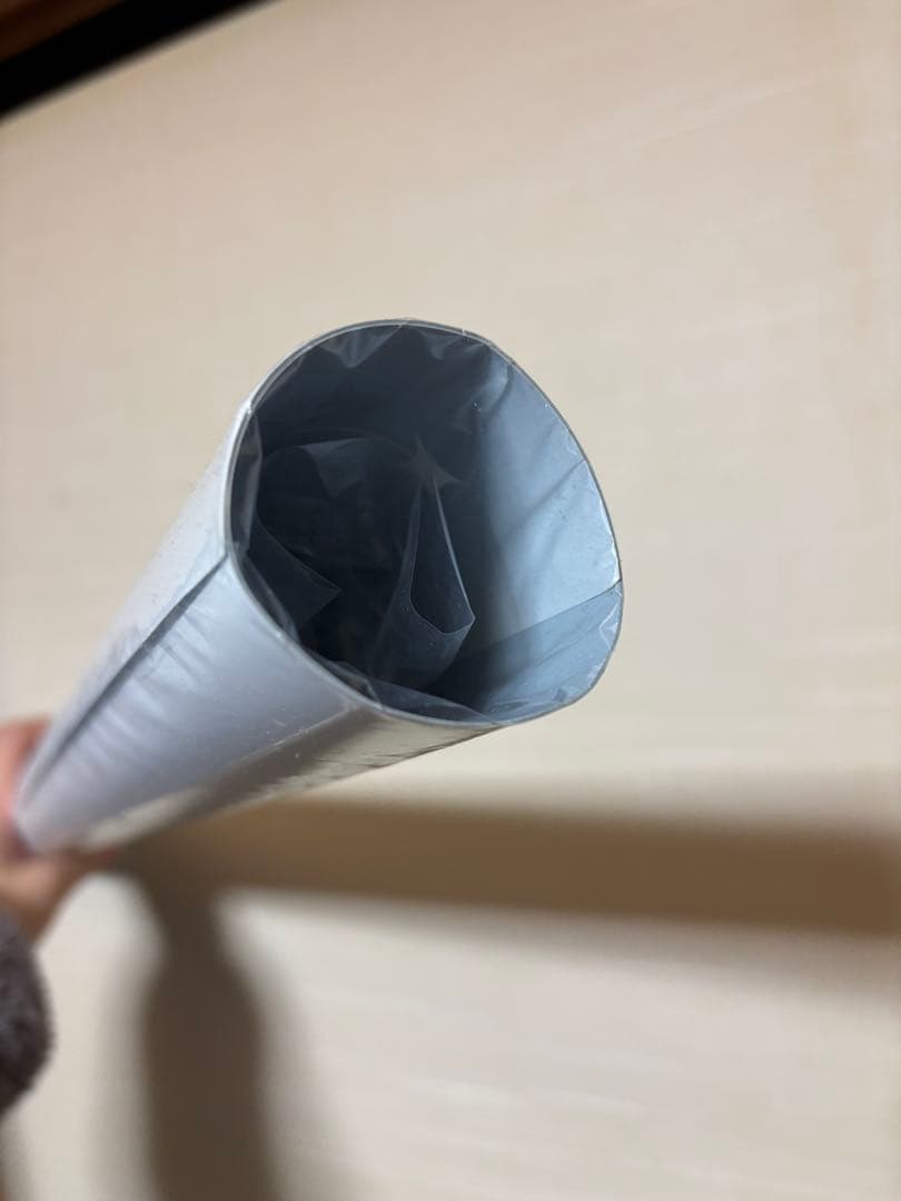 【最終価格】女子研究大学 ラッフルくじ A賞