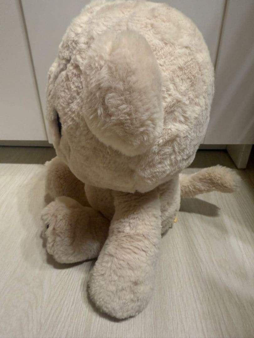 チタリ 40cm ぬいぐるみ