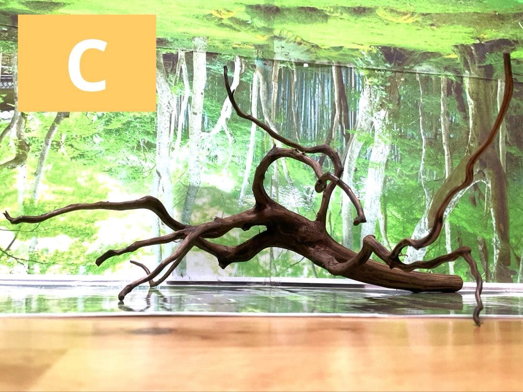 海賊王ご提案用　天然水槽用流木　煮沸沈水確認済　ブランチウッド