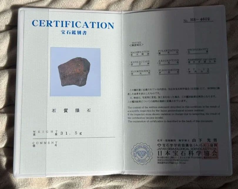 コンドライト隕石L5-6 鑑別書付き モロッコ産