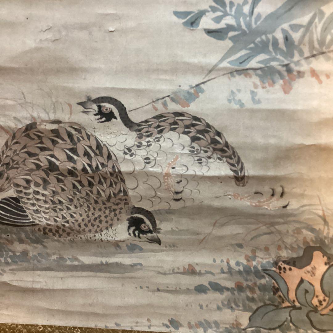 柳澤淇園　　紙本彩色画　茶掛軸　【　粟　に　鶉　図　】　肉筆画　　模写　NO39