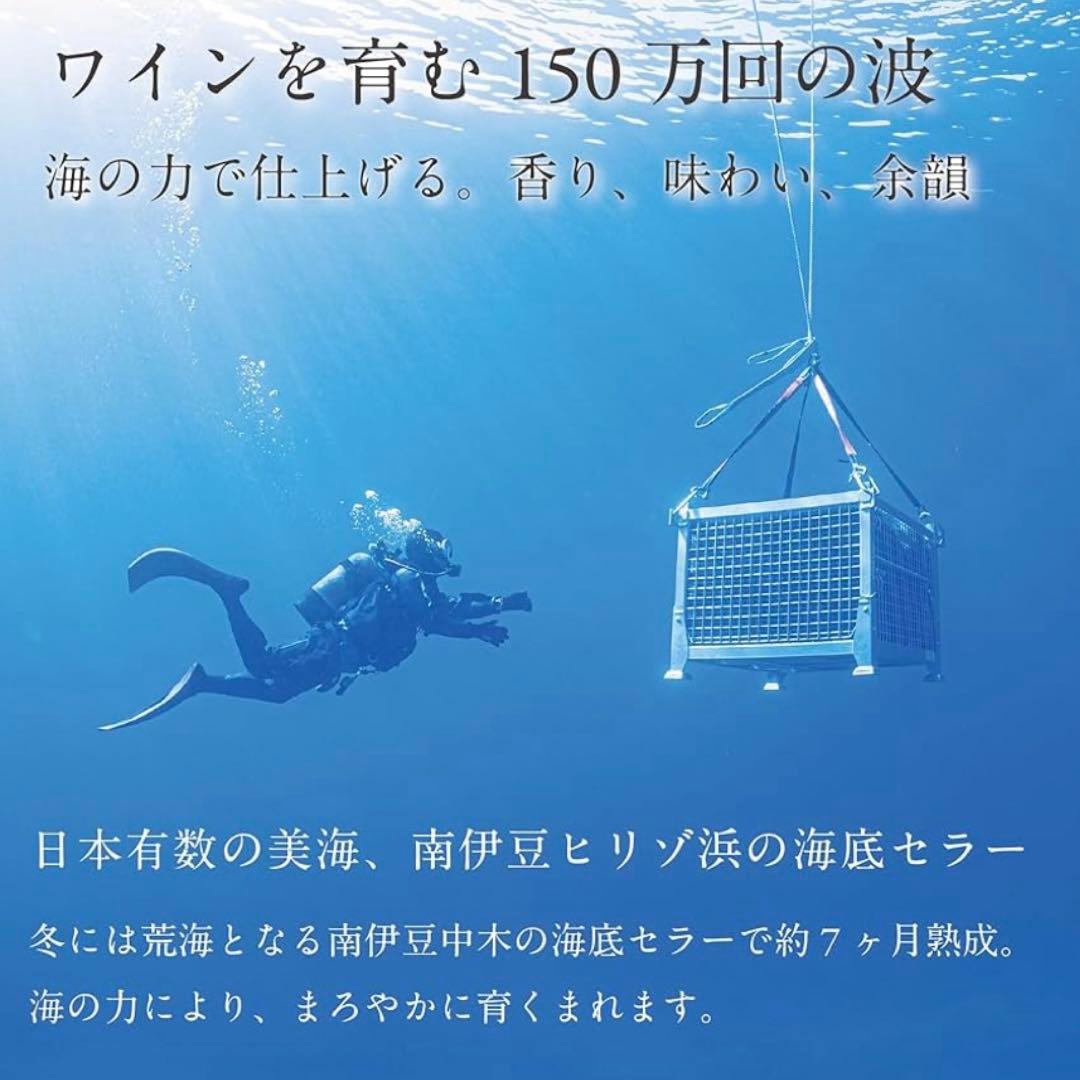 サブリナ レゼルブ シラー 2020 ACT4 ワイン 15.5% 750ml