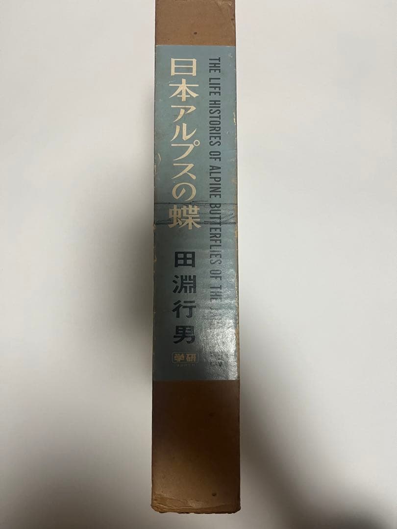 日本アルプスの蝶