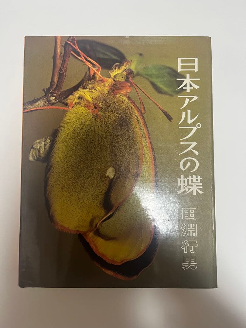 日本アルプスの蝶