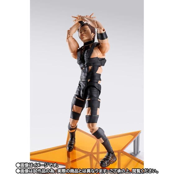 S.H.Figuarts T.M.Revolution（西川貴教）【開封未使用】