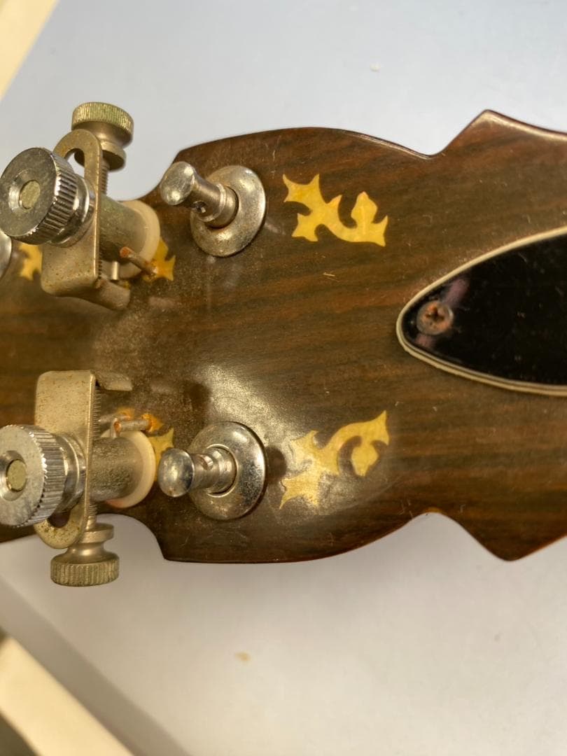 Y*a様 ★値下★5弦バンジョー pirlesスクラッグスチューナー ケース付（