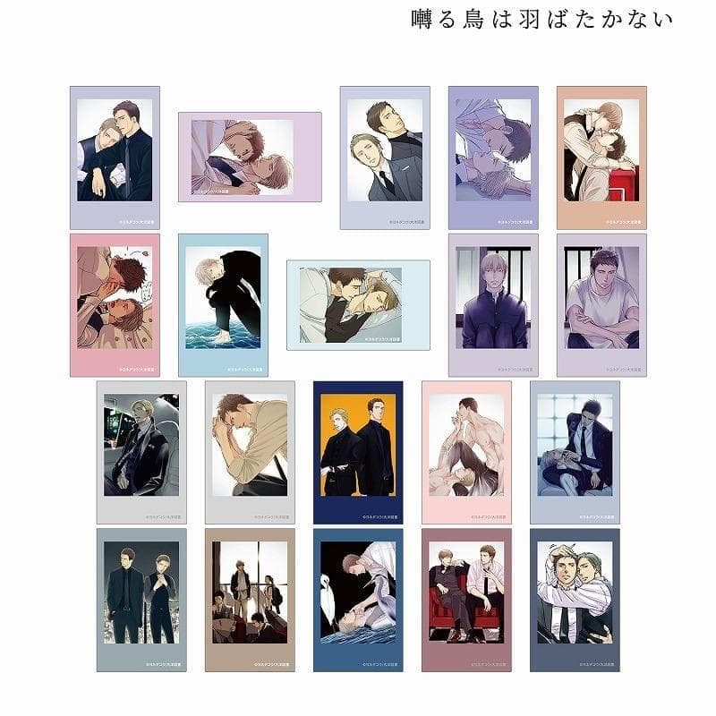 囀る鳥は羽ばたかない特典セット 限定版 グッズ くじ 9巻箔押しPOP非売品