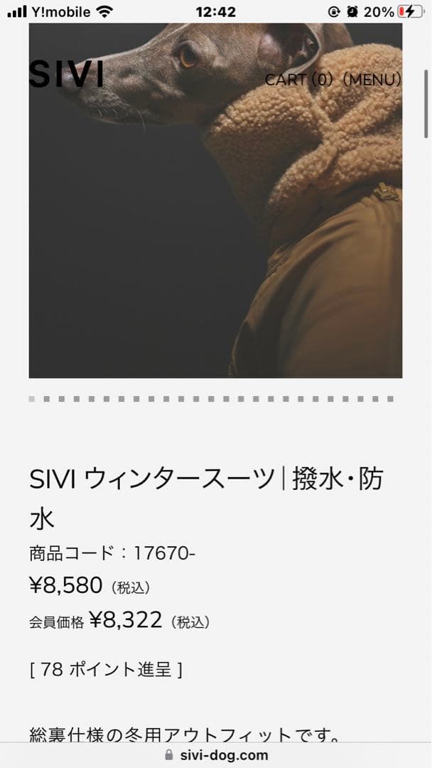 レイスル SIVI ウィンタースーツ 、ベスト　Lsizeセット⭐︎