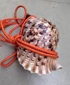 ほら貝・山伏・和楽器（オレンジ紐付き）