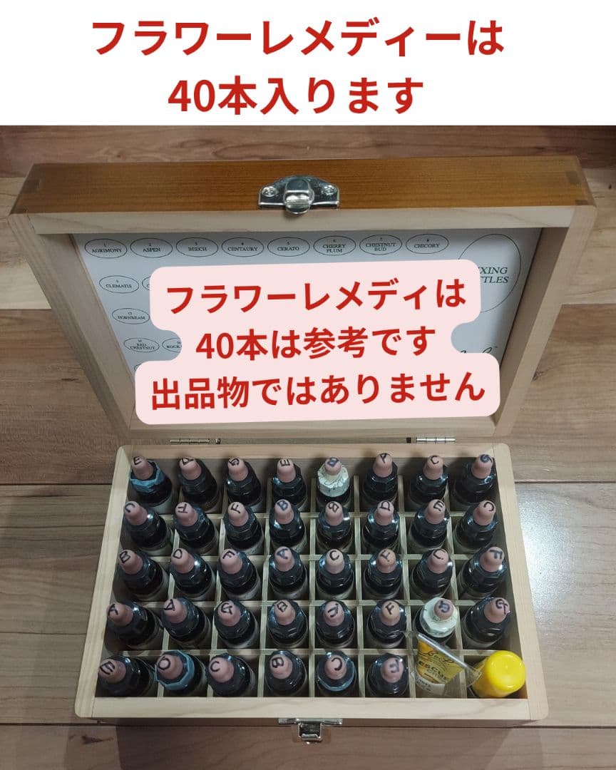 4/14まで期間限定価格【美品】バッチフラワーエッセンス事典 レメディー専用箱