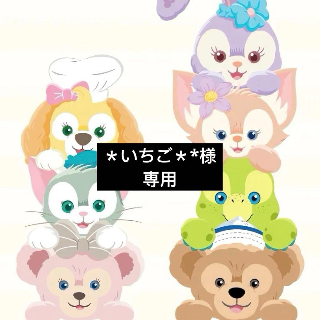 ＊いちご＊*5点