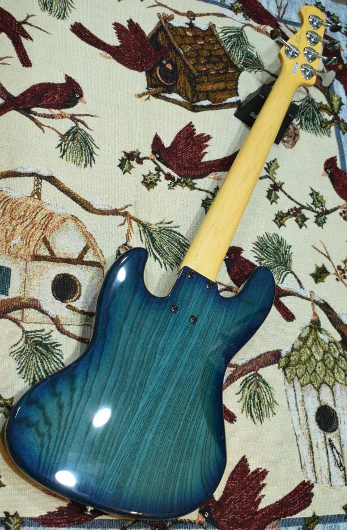 FGN NJB10MBAHV-SBB/01 5弦 状態良好 ケース付