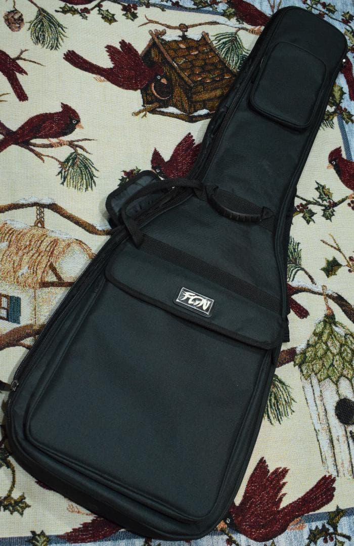 FGN NJB10MBAHV-SBB/01 5弦 状態良好 ケース付