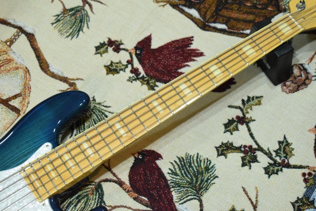 FGN NJB10MBAHV-SBB/01 5弦 状態良好 ケース付