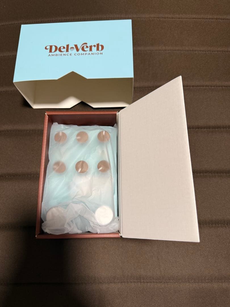 DelVerb Ambience Companion ギターエフェクター