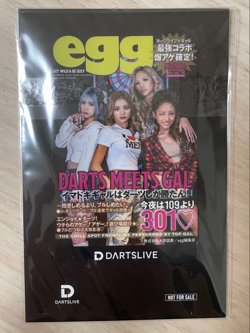[新品未使用]DARTS LIVE Cardダーツライブカード　egg ギャル