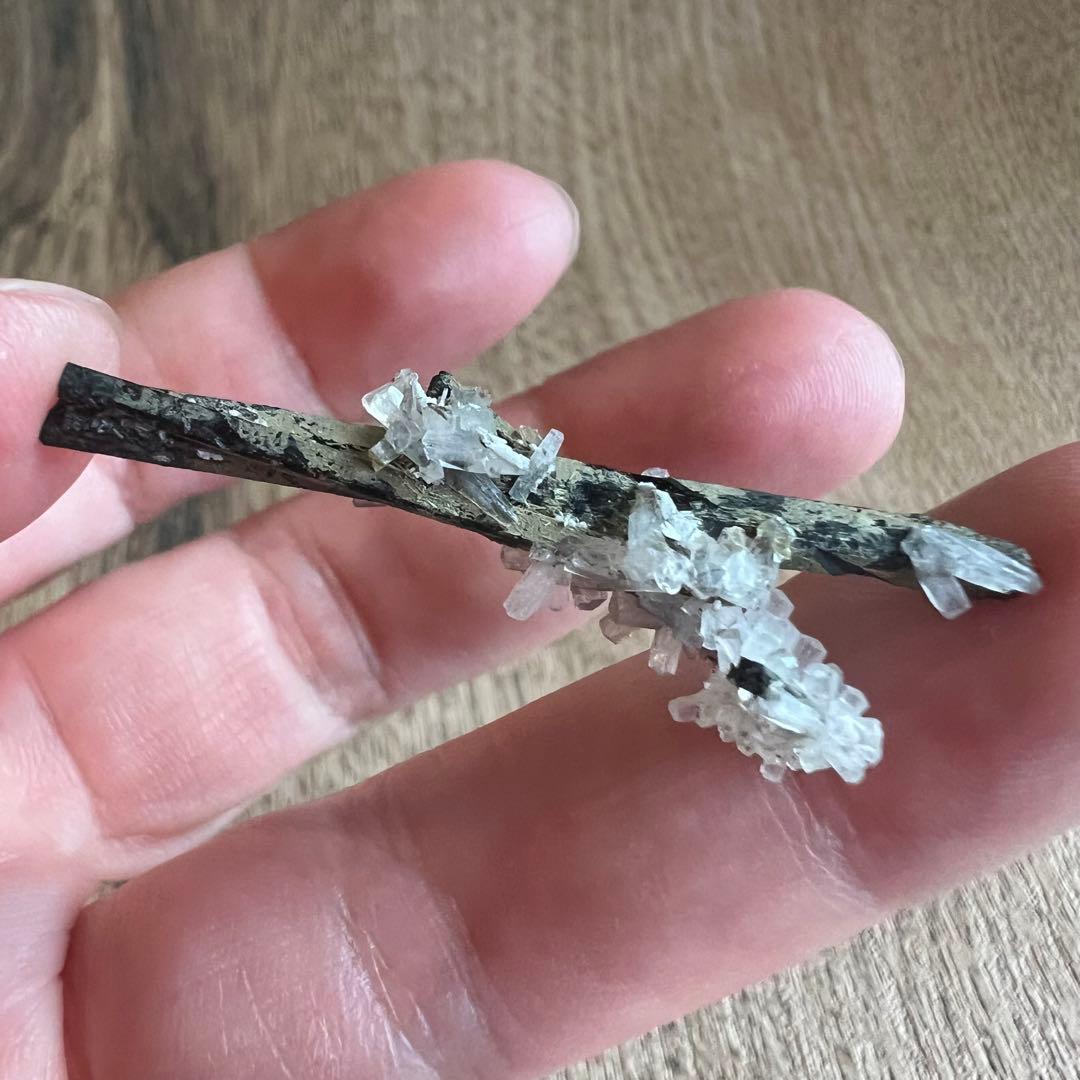 エジリン輝石 ナトロライト 41 共生 鉱物 標本 原石